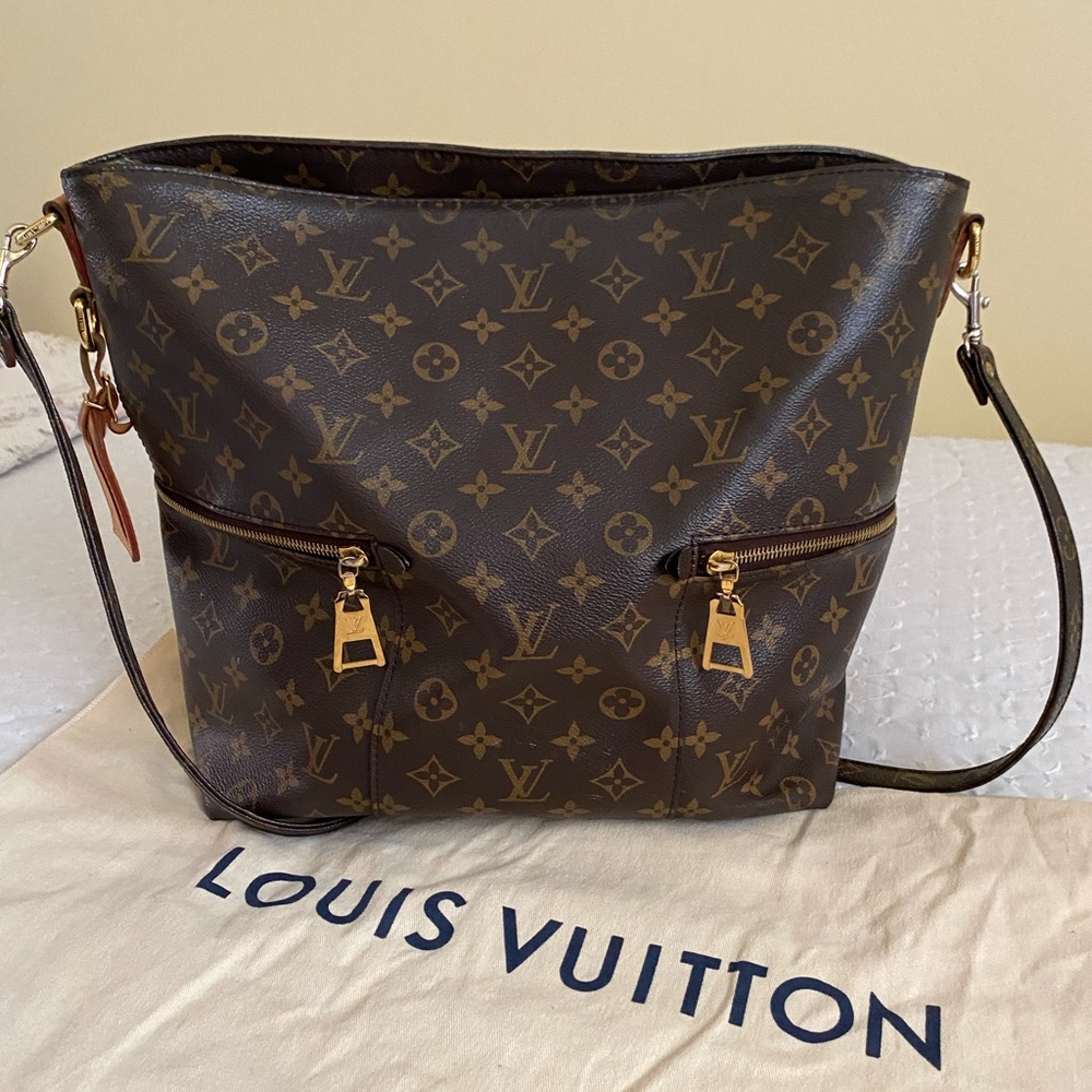 Louis Vuitton Monogram Bag
